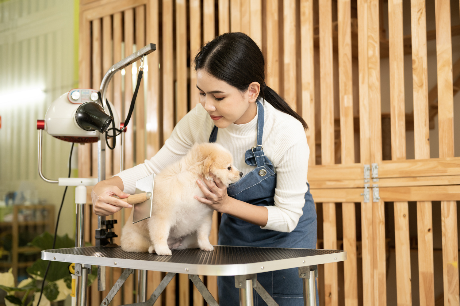 Pet Grooming Gading Serpong Untuk Merawat Anabul agar Tetap Bersih dan Sehat